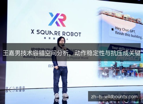 王嘉男技术容错空间分析,动作稳定性与抗压成关键 王嘉男技术容错空间分析,动作稳定性与抗压成关键