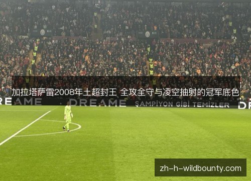 加拉塔萨雷2008年土超封王 全攻全守与凌空抽射的冠军底色 加拉塔萨雷2008年土超封王 全攻全守与凌空抽射的冠军底色